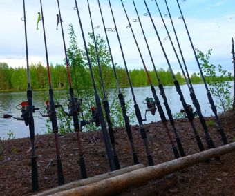 Вологодчина 2017