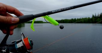 Вологодчина 2017