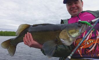 Вологодчина 2017