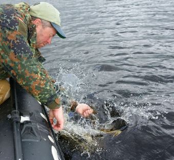 Вологодчина 2017