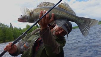 Вологодчина 2017