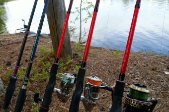 Вологодчина 2017