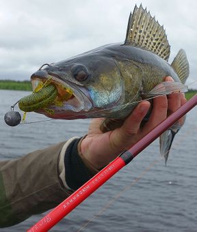 Вологодчина 2017