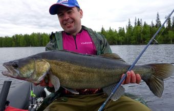 Вологодчина 2017