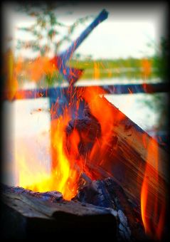 Вологодчина 2017