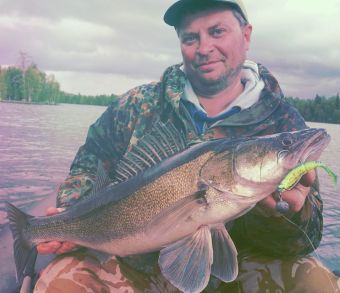 Вологодчина 2017