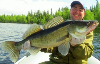 Вологодчина 2017