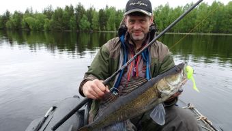 Вологодчина 2017