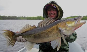 Вологодчина 2017