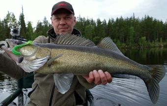 Вологодчина 2017