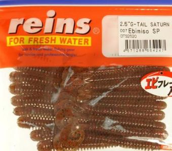 310 G tail Saturn 2 5 007 1