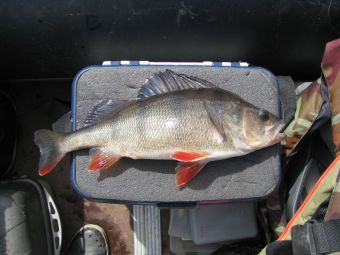 карелия 2017 001