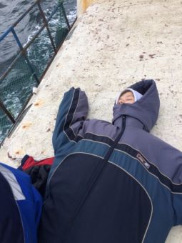 IMG 5492 09 08 17 11 13