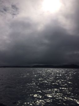IMG 5504 09 08 17 11 13