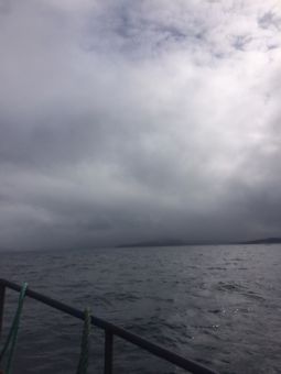 IMG 5505 09 08 17 11 13