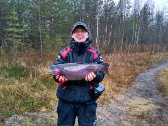 Форель 2,3 кг