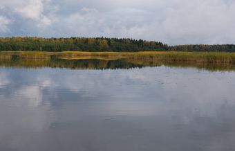 Туса 2017 осень