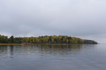 Туса 2017 осень