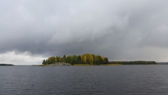 Туса 2017 осень - островок