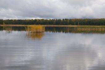 Туса 2017 осень