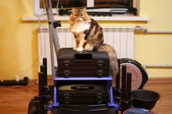 Фидер - начало