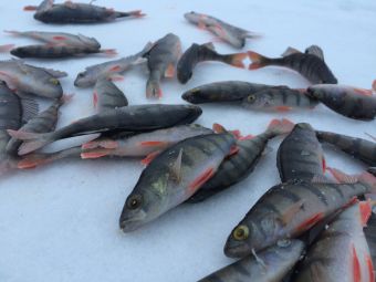 2018 03 17 18.50.24 1