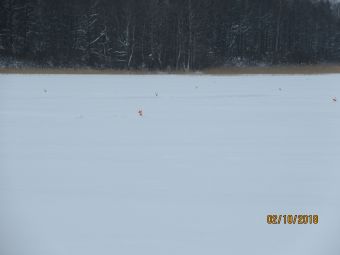 Изображение 036