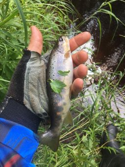 bbf5be19 bada 467b 8a71 cb69c916aaf3