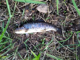 a55a6399 850c 45e5 967e 3558fb0d0d48