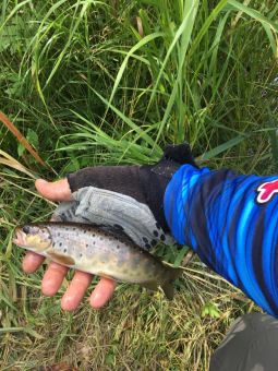 feed1a14 cf6f 4958 b543 9e7cf8b5702c