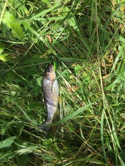 05e89ccd ae57 4e04 a940 69105f612de8