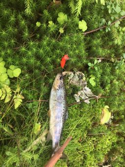 6cdde139 52ad 493b 8dc3 7a0bb828c90f