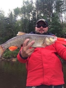 Республика Коми Река Луза