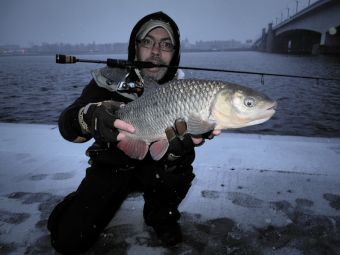 я и голавель 1