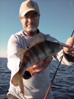 я и окунь 3 800