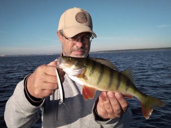 я и окунь 800