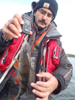 Туса 2018 осень