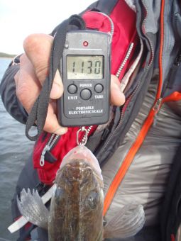 Туса 2018 осень