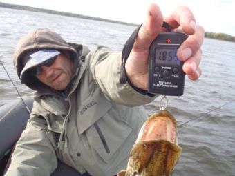 Туса 2018 осень