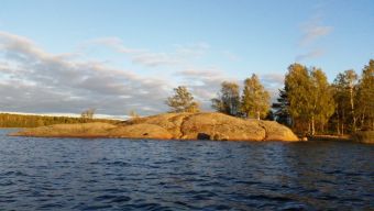 Туса 2018 осень