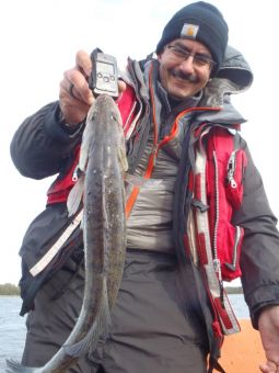 Туса 2018 осень