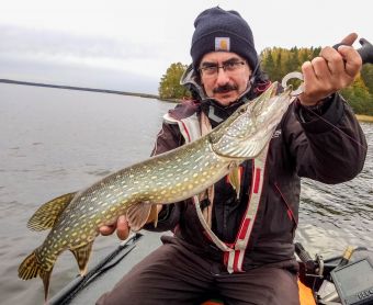 Туса 2018 осень