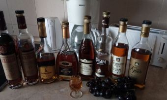 Brandy то, что понравилось