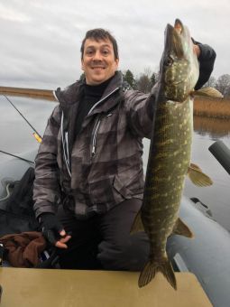 Ох уж этот щук