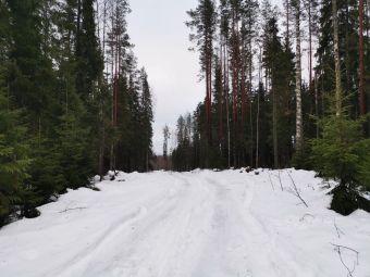 366D0236 78E2 473C AC27 07A272882DE5