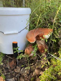 F45AEFA1 D85E 4E55 B4FB 64D2A3C9A91B