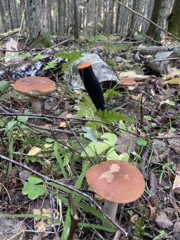 569E6730 169B 4EDD 9E02 55D9FBAAFFFE