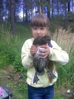 8585C5DB 278A 41FA 9906 D99BC9238745