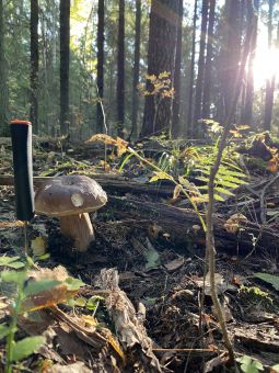 BCA20FF5 7783 492E 956B 6FA94436FDE1