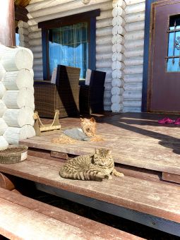 F26CFD8D 6B56 4D65 B379 C22EA330CE95